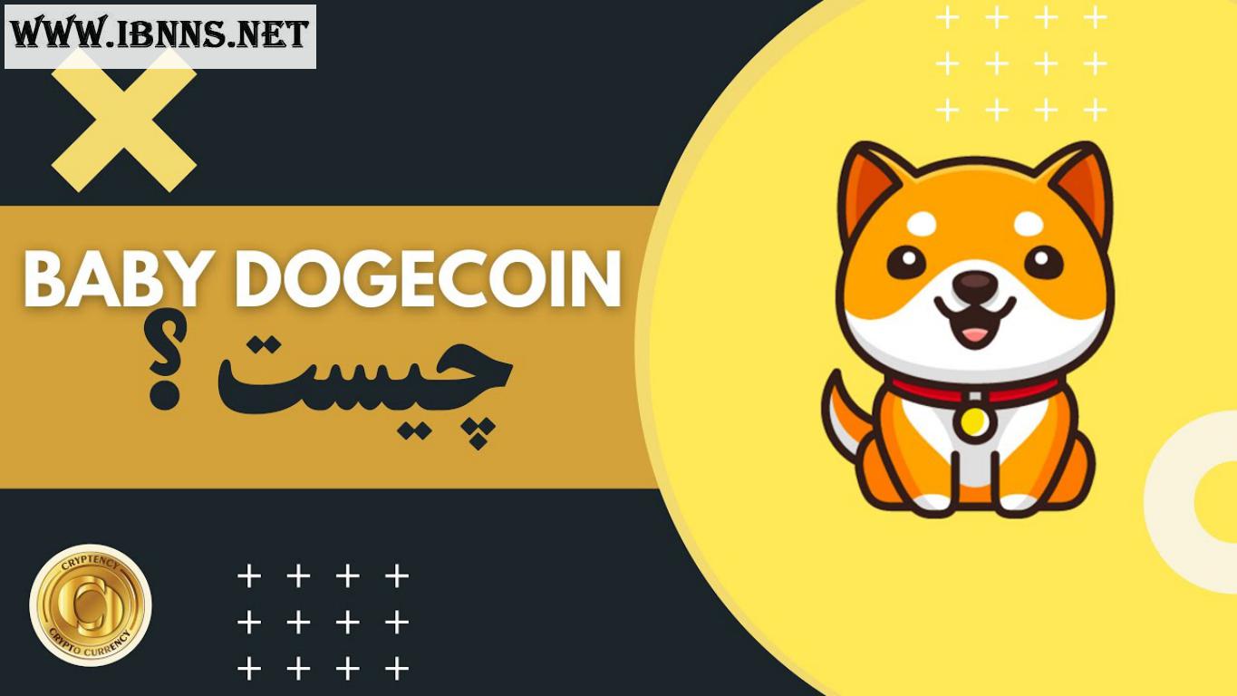 خرید بی بی دوج کوین | فروش Baby Doge Coin | قیمت بی بی دوج کوین